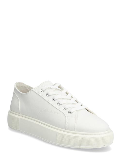 Jack & Jones | Jfwaspire Canvas Sneaker | 43