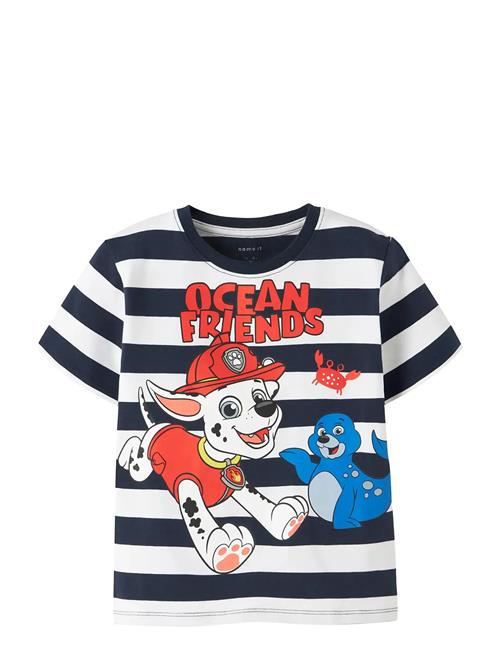 name it | Nmmmilan Paw Ss Nreg Top Box Cplg | 116