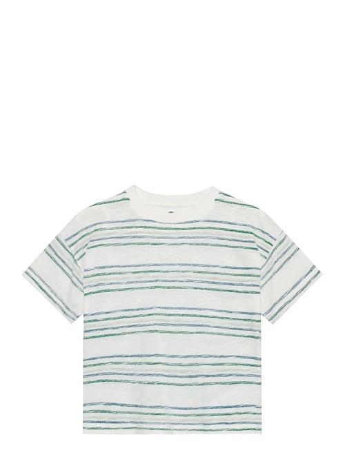 En Fant | T-Shirt Ss Stripe | 122
