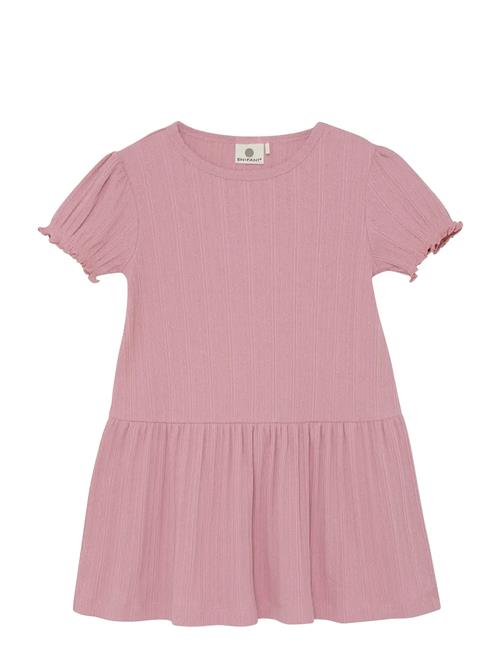 En Fant | Dress Ss Pointelle | 92
