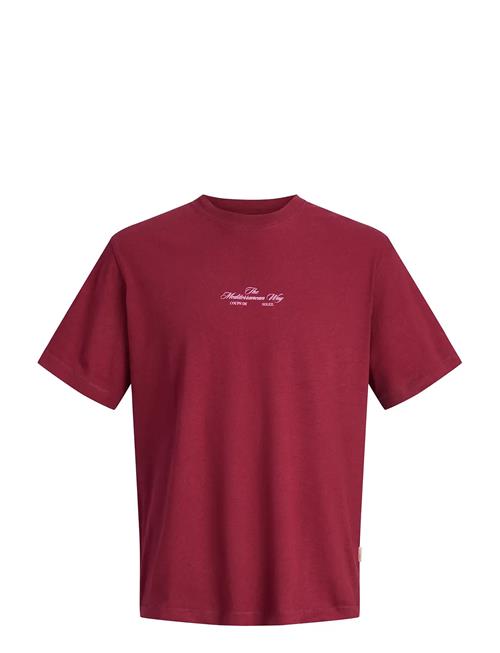 Jack & Jones | Jorcassis Photo Back Tee Ss Crew Neck | S