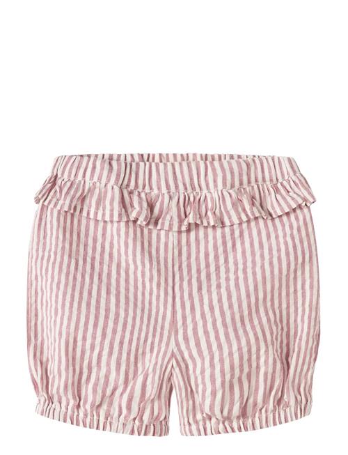 name it | Nbfhipe Shorts | 62