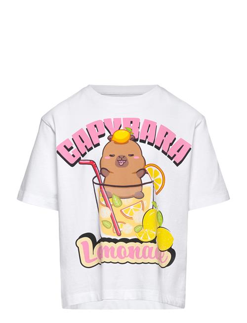 name it | Nkfabina Capybara Ss Nreg Top Lnoos Sky | 134-140