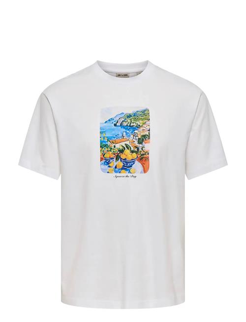 ONLY & SONS | Onsfred Painting Life Rlx Ss Tee | L