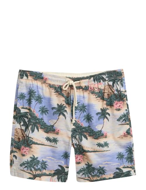 GANT | Reg Printed Ds Shorts | XL