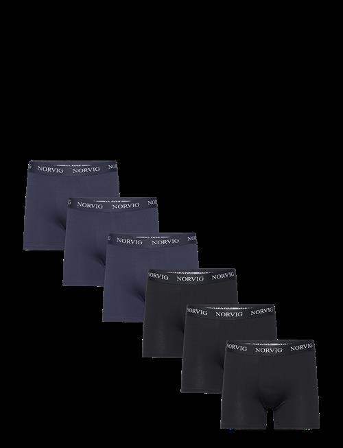 NORVIG | 6-Pack Mens Tights | XXL