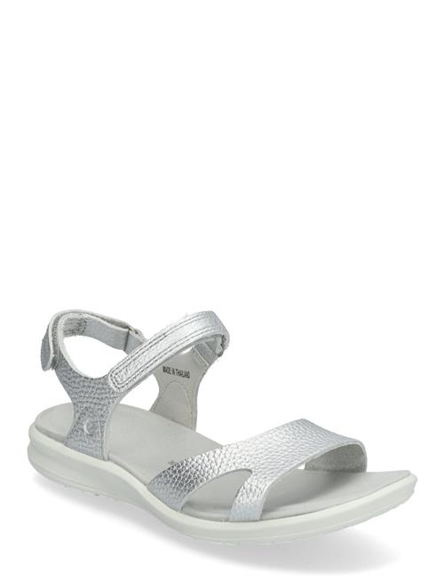 ECCO | Cruise Ii | 38