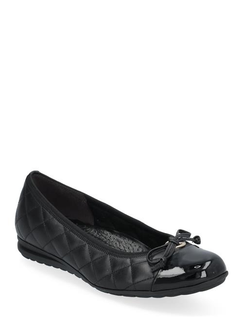 Gabor | Ballerina | 38.5