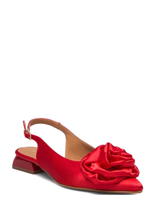 Pavement | Kala Rose | 38