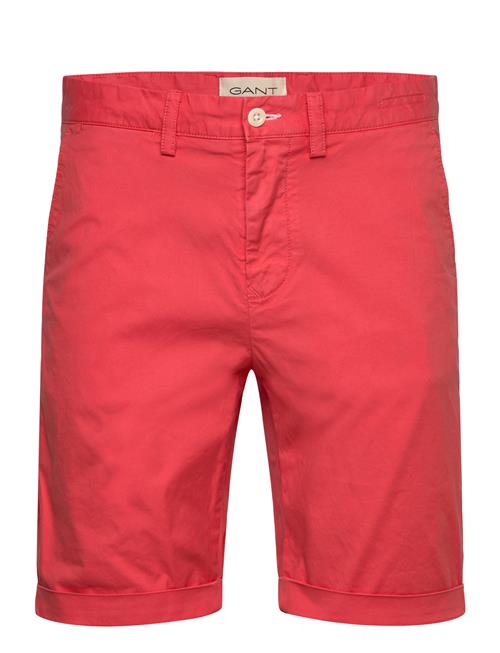 GANT | Reg Sunfaded Shorts | 31