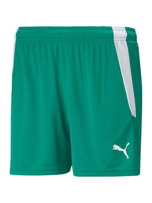 PUMA Sportsbukser 'TeamLiga'  grøn / hvid