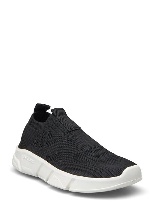 GEOX | J Aril Boy A | 29