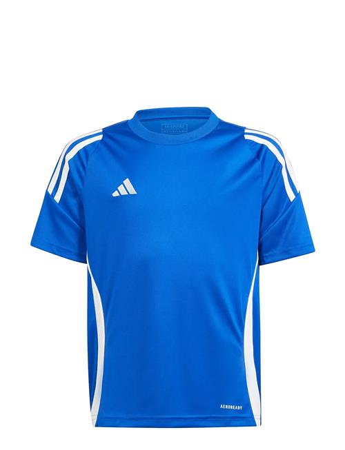 adidas Performance | Tiro24 Jsyy | 176