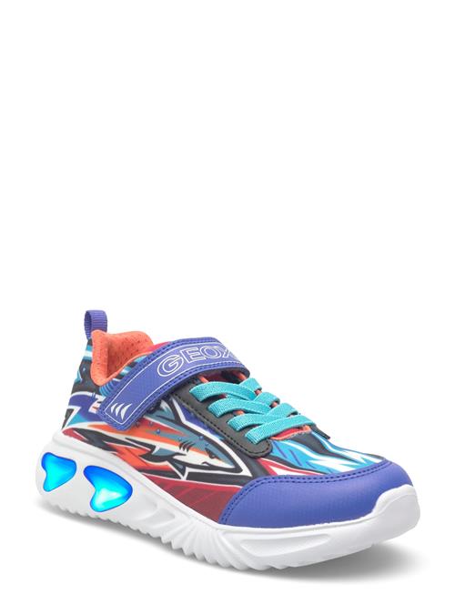 GEOX | J Assister Boy B | 28