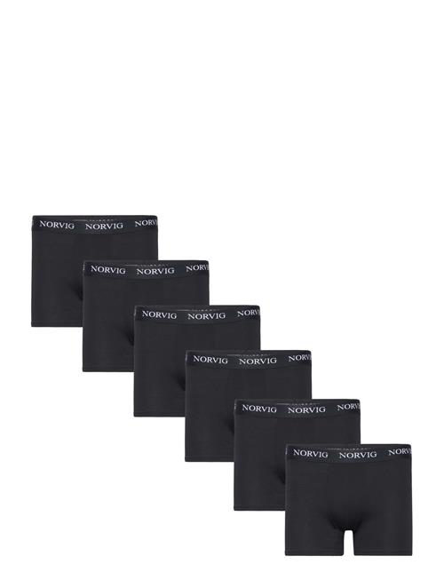 NORVIG | 6-Pack Mens Tights | XXL