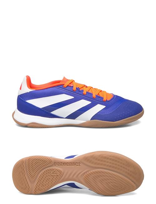adidas Performance | Predator League Football Boots Indoor | 44 2/3