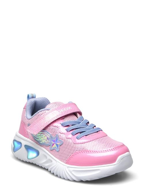 GEOX | J Assister Girl B | 32
