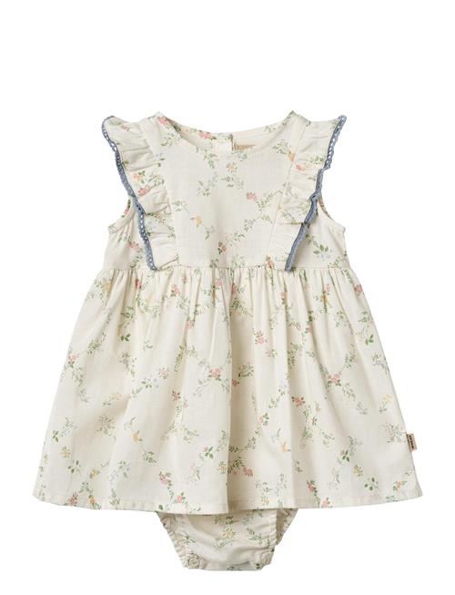 Wheat | Dress Suit Lace Sofia | 68