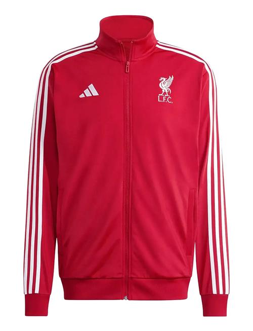 adidas Performance | Lfc Dna Tt | XL