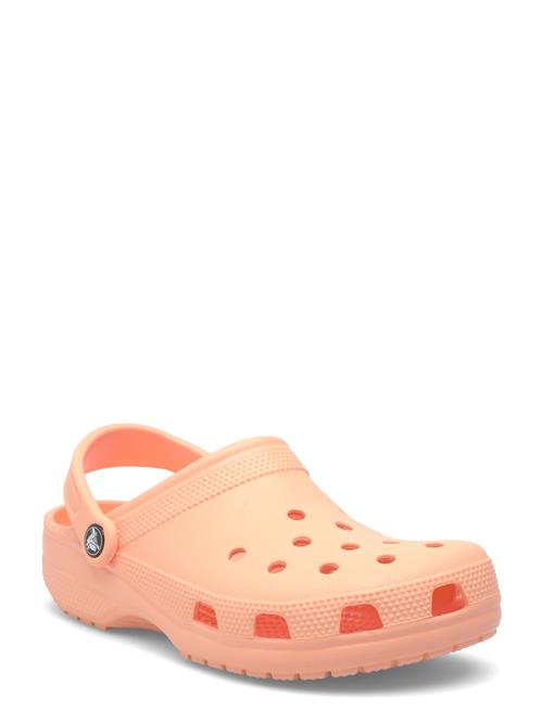 Crocs | Classic | 37/38