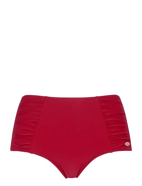 Damella of Sweden | Bikini Brief Maxi Meryl | 46