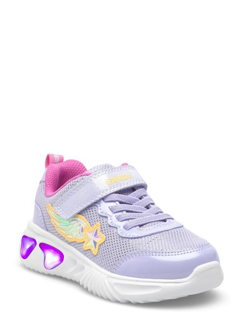 GEOX | J Assister Girl B | 27