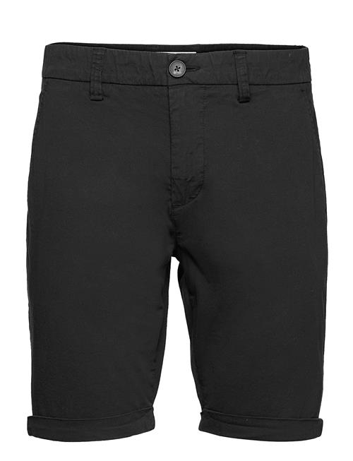 Knowledge Cotton Apparel | Chuck Regular Chino Shorts | 38