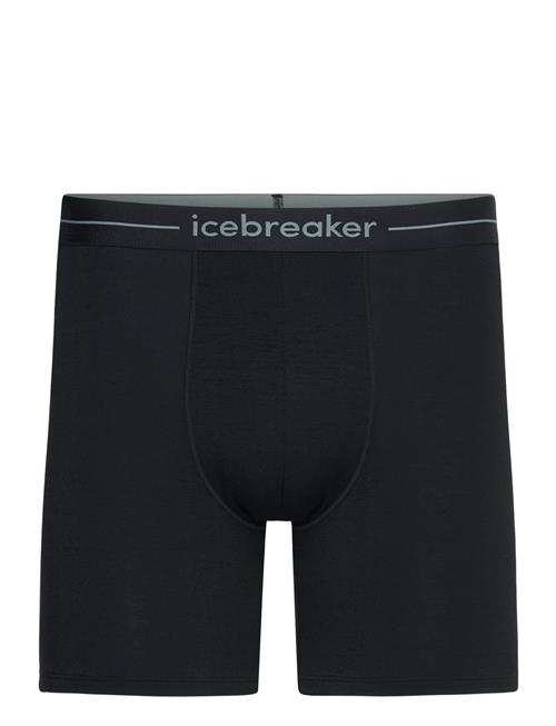 Icebreaker | M Anatomica Long Boxers | L