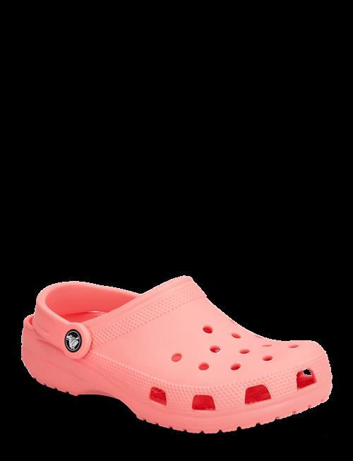 Crocs | Classic | 36/37