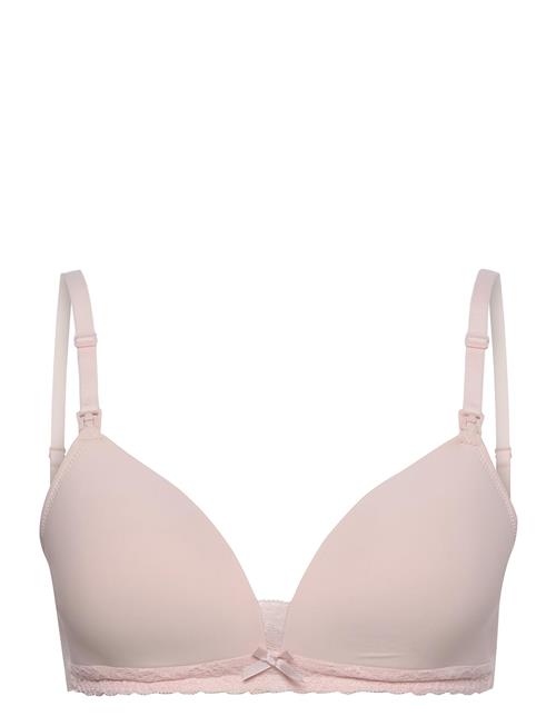 Dorina | Light Padded May Soft Bra | C x 90