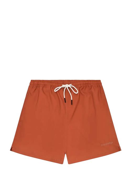 Knowledge Cotton Apparel | Stretch Swimshorts | S
