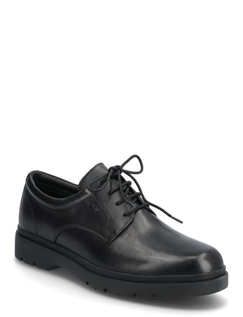 GEOX | U Spherica Ec1 B Abx | 42