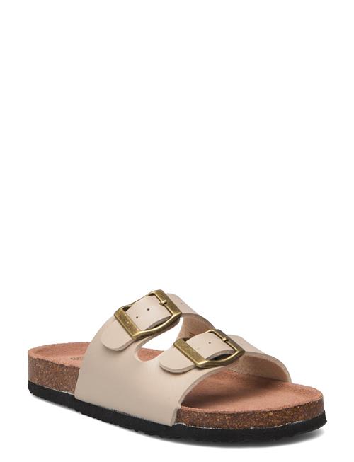 Exani | Spectra Slip-In | 34
