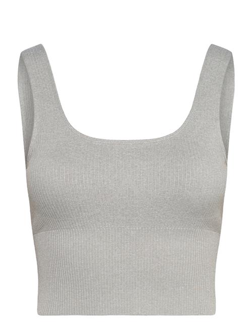 aim´n | Ribbed Seamless Shaping Bralette | L