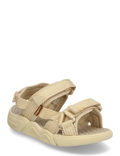Bisgaard | Bisgaard Louis | 30