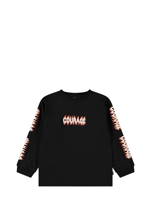 Molo | Rube | 110
