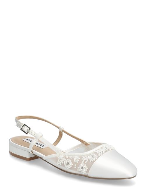 Steve Madden | Belinda-Mf | 39