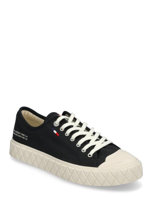 Palladium | Palla Ace Cvs Org | 44