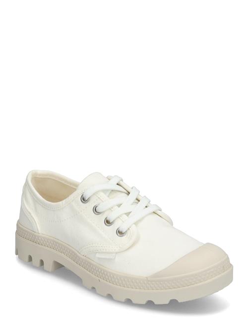 Palladium | Pampa Oxford | 39