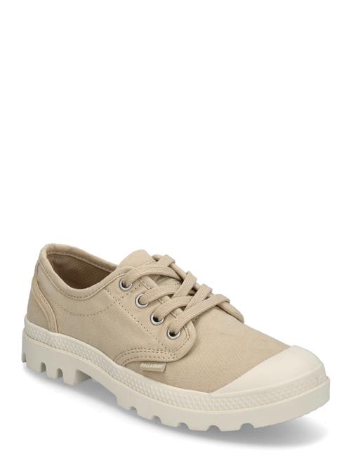 Palladium | Pampa Oxford | 36