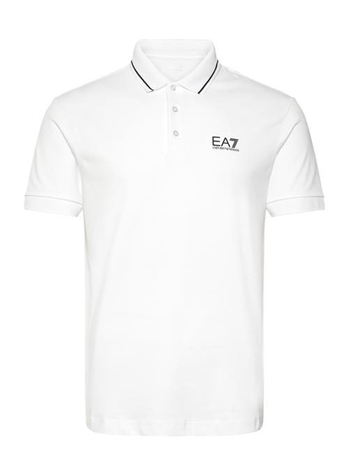 EA7 | Polo Shirt | XXXL