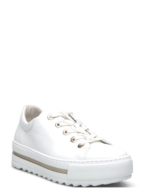 Gabor | Sneaker | 42