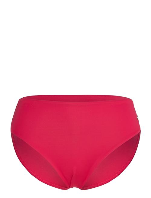 Panos Emporio | Dione Solid Bottom | 40