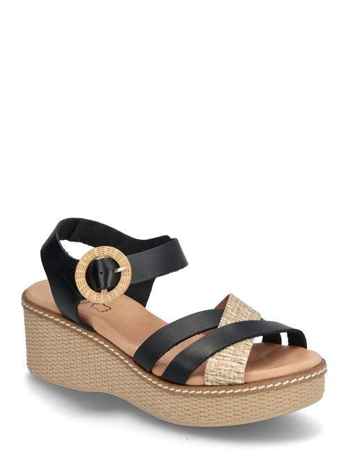Dasia | Flora | 41