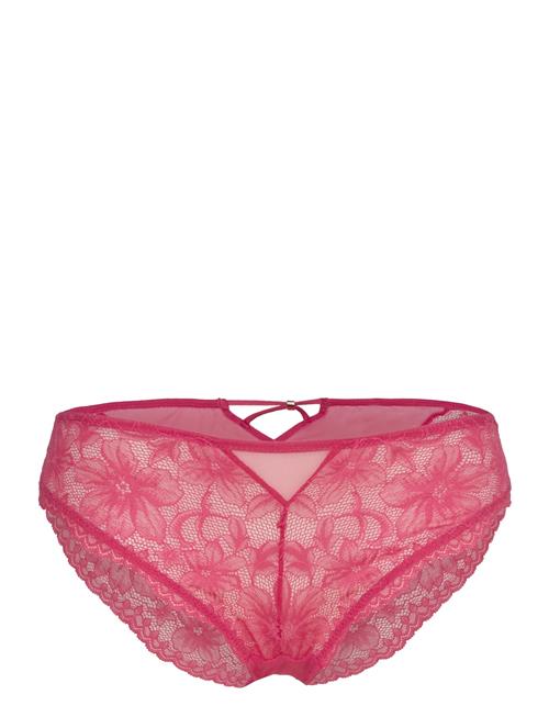 Dorina | Jemma Brief | L