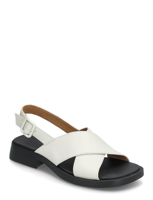 Camper | Dana | 37
