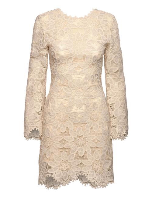 Malina | Imani Guipure Lace Mini Dress | 36