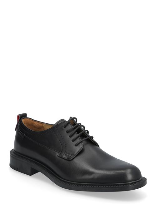 HUGO | Lysander_Derb_Lt | 45
