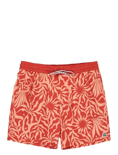 Billabong | Sundays Lb | L