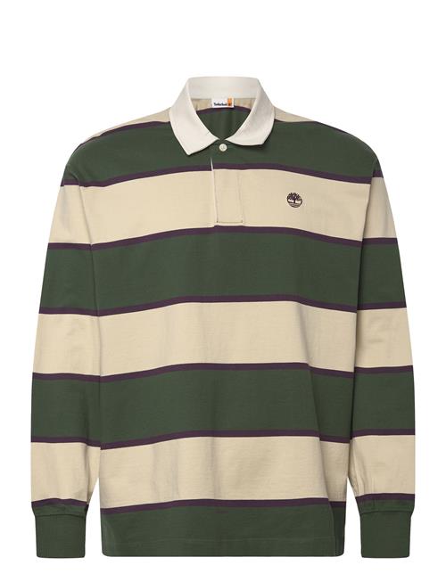 Timberland | Rugby Polo Shirt Pineneedle / Putty | L